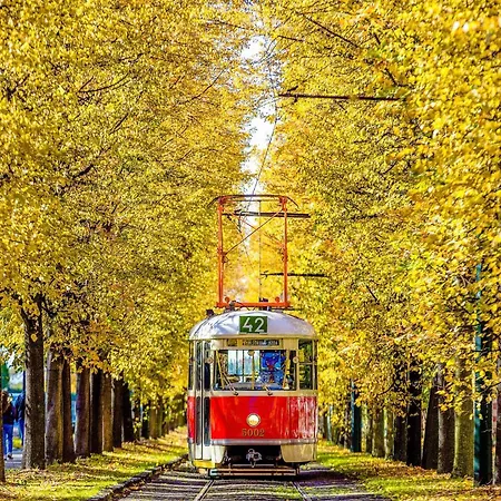 R2 Letna Rooftop Retreat Rum i privatbostad Prag